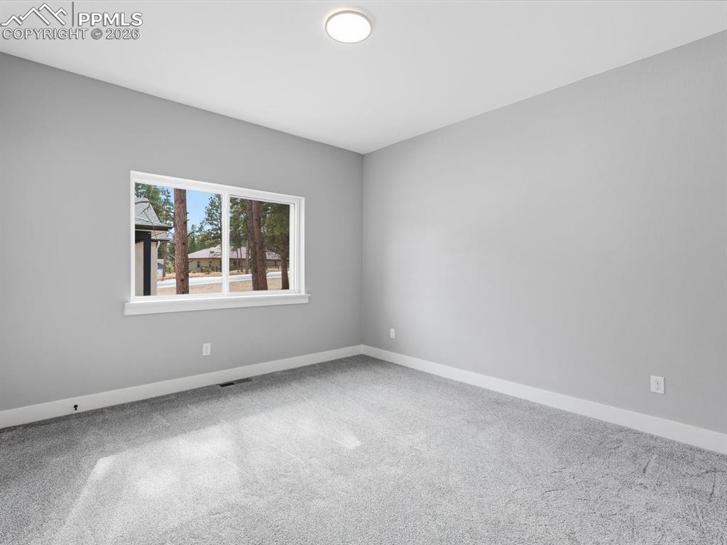 1305 Stone Ridge Drive Woodland Park CO 80863