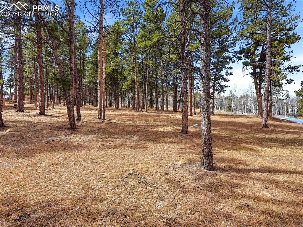 1305 Stone Ridge Drive Woodland Park CO 80863