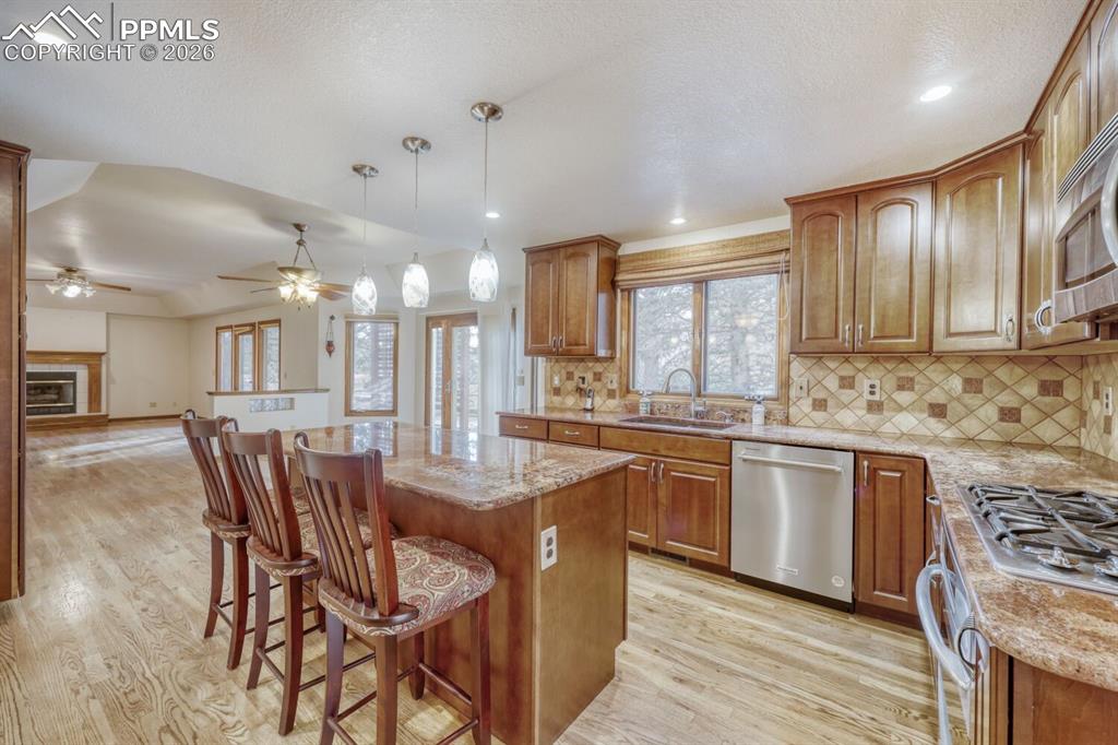 225 Sugarbush Drive Monument CO 80132
