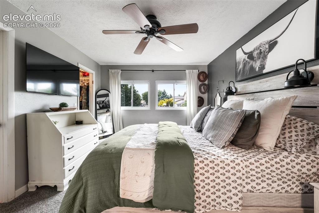 7175 Woody Creek Drive Colorado Springs CO 80911