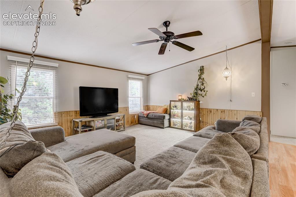 784 Blossom Road Woodland Park CO 80863