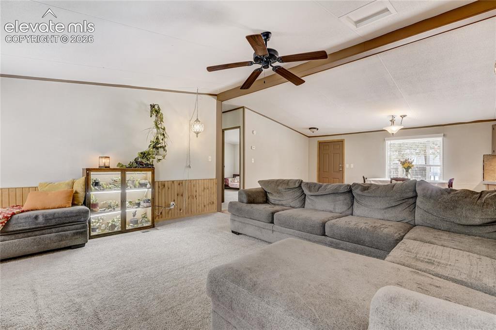 784 Blossom Road Woodland Park CO 80863