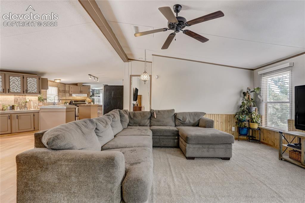 784 Blossom Road Woodland Park CO 80863
