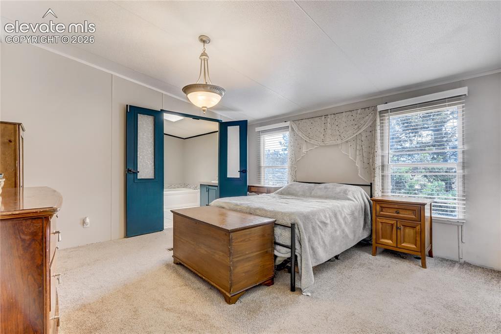 784 Blossom Road Woodland Park CO 80863