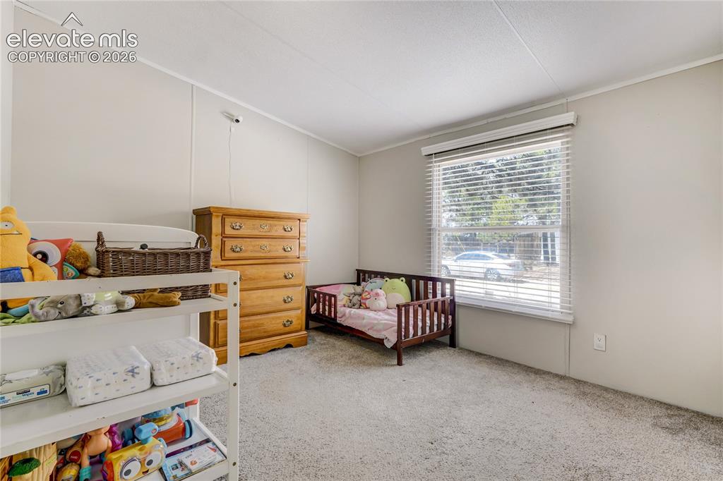 784 Blossom Road Woodland Park CO 80863