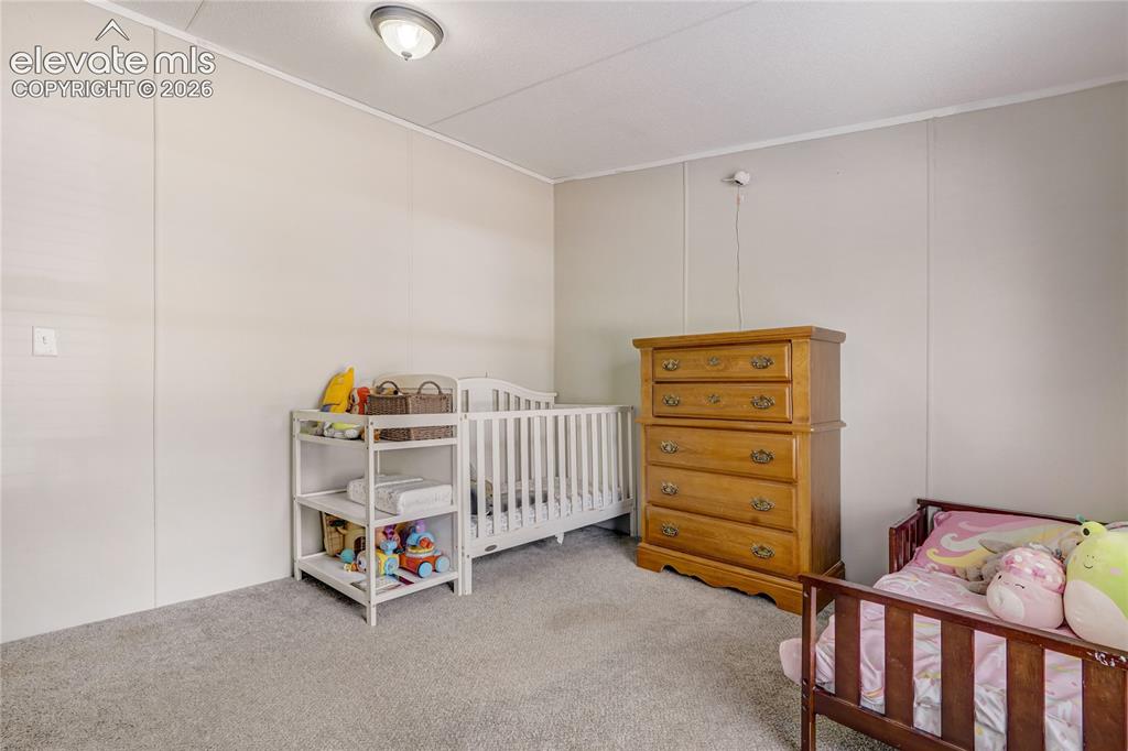 784 Blossom Road Woodland Park CO 80863