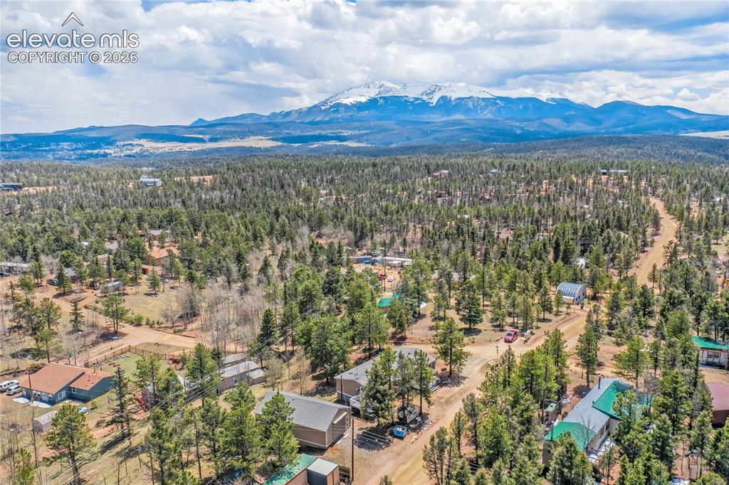 784 Blossom Road Woodland Park CO 80863
