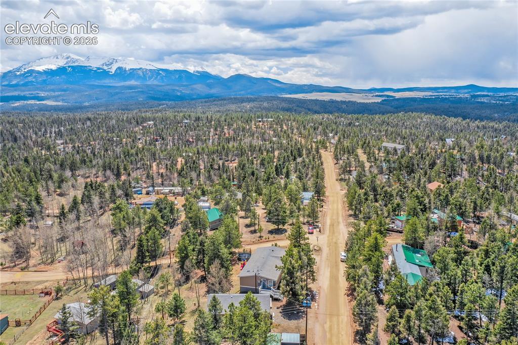 784 Blossom Road Woodland Park CO 80863
