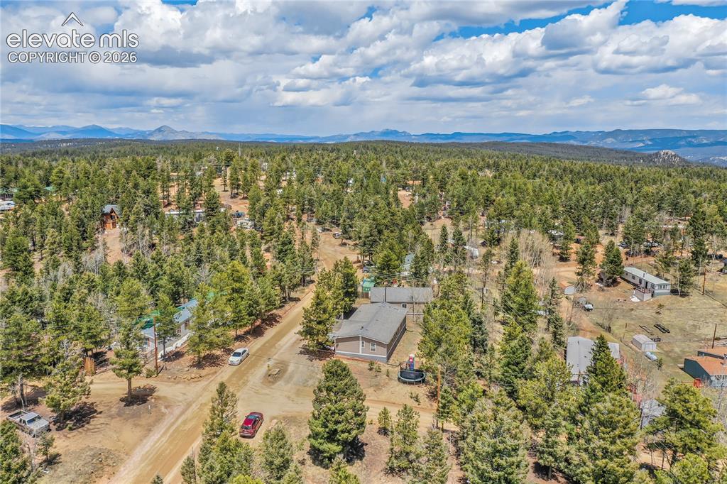784 Blossom Road Woodland Park CO 80863