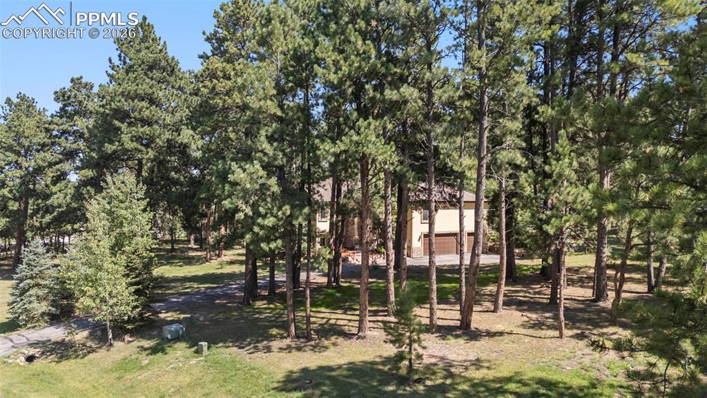 18525 Glenthorne Lane Monument CO 80132