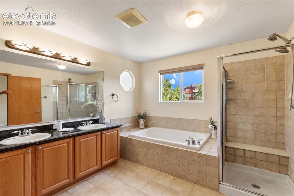 4046 Deer Valley Drive Castle Rock CO 80104