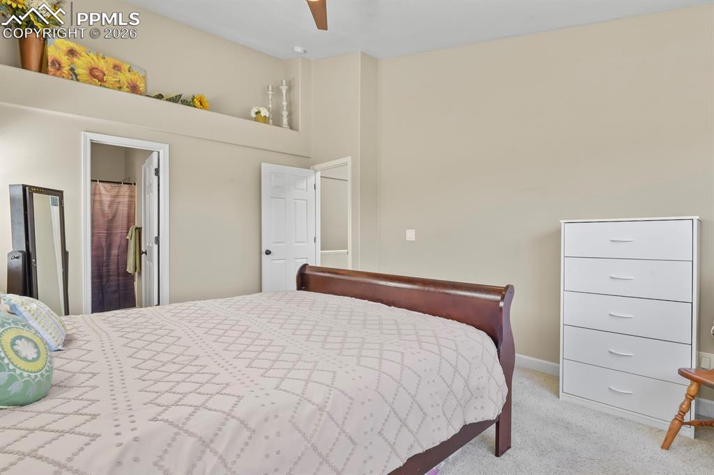 4439 Cherry Oak Court Colorado Springs CO 80906