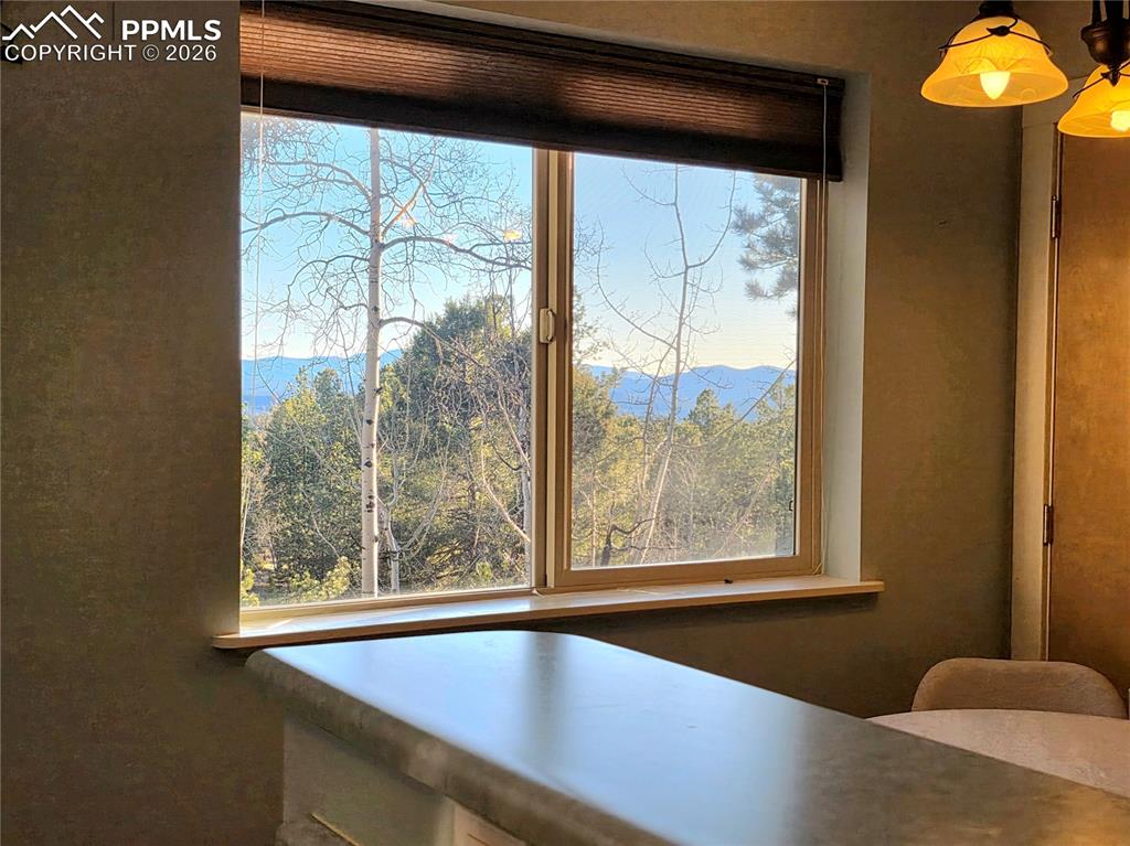 2063 Vagabond Creek Drive Lake George CO 80827