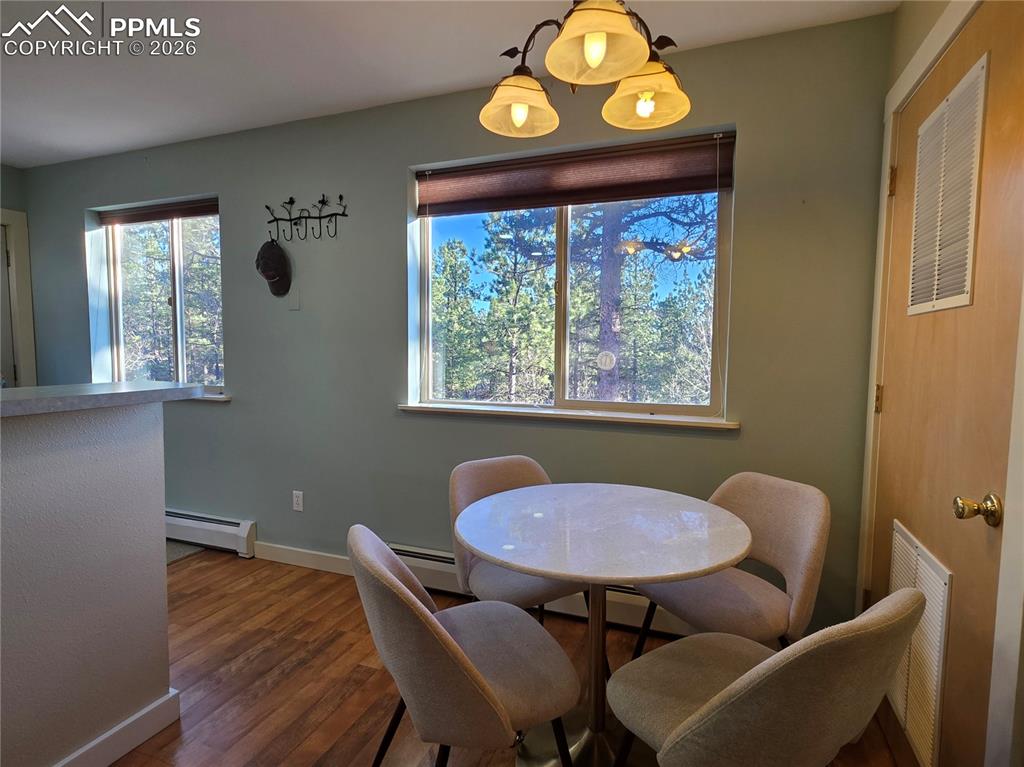 2063 Vagabond Creek Drive Lake George CO 80827