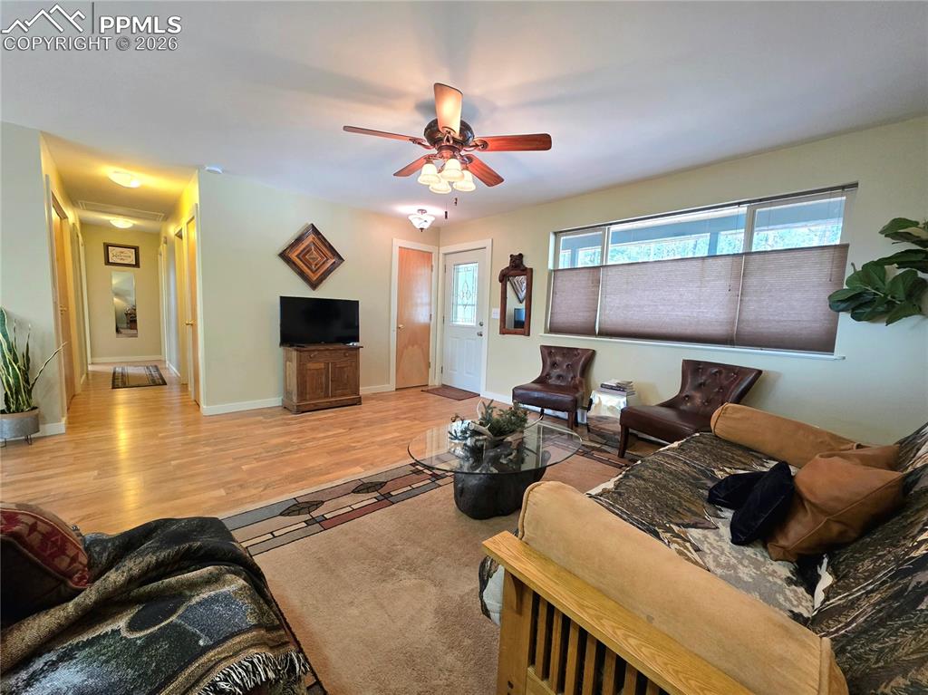 2063 Vagabond Creek Drive Lake George CO 80827