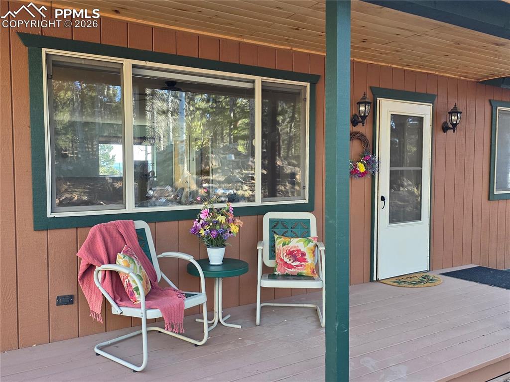 2063 Vagabond Creek Drive Lake George CO 80827