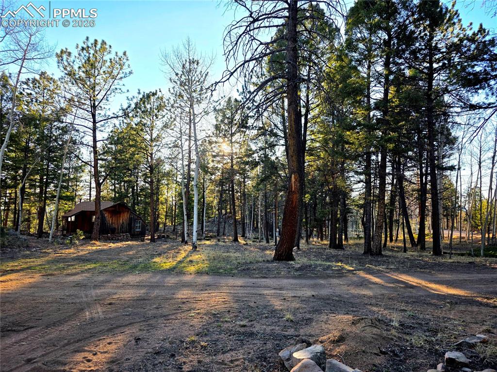2063 Vagabond Creek Drive Lake George CO 80827
