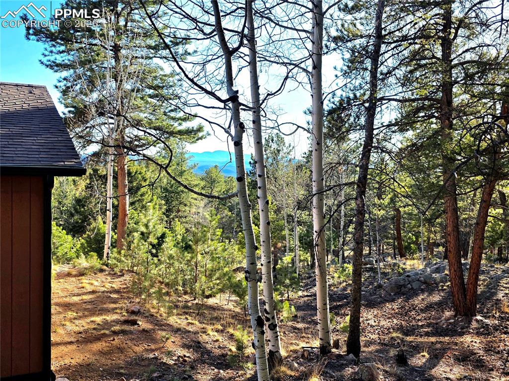 2063 Vagabond Creek Drive Lake George CO 80827