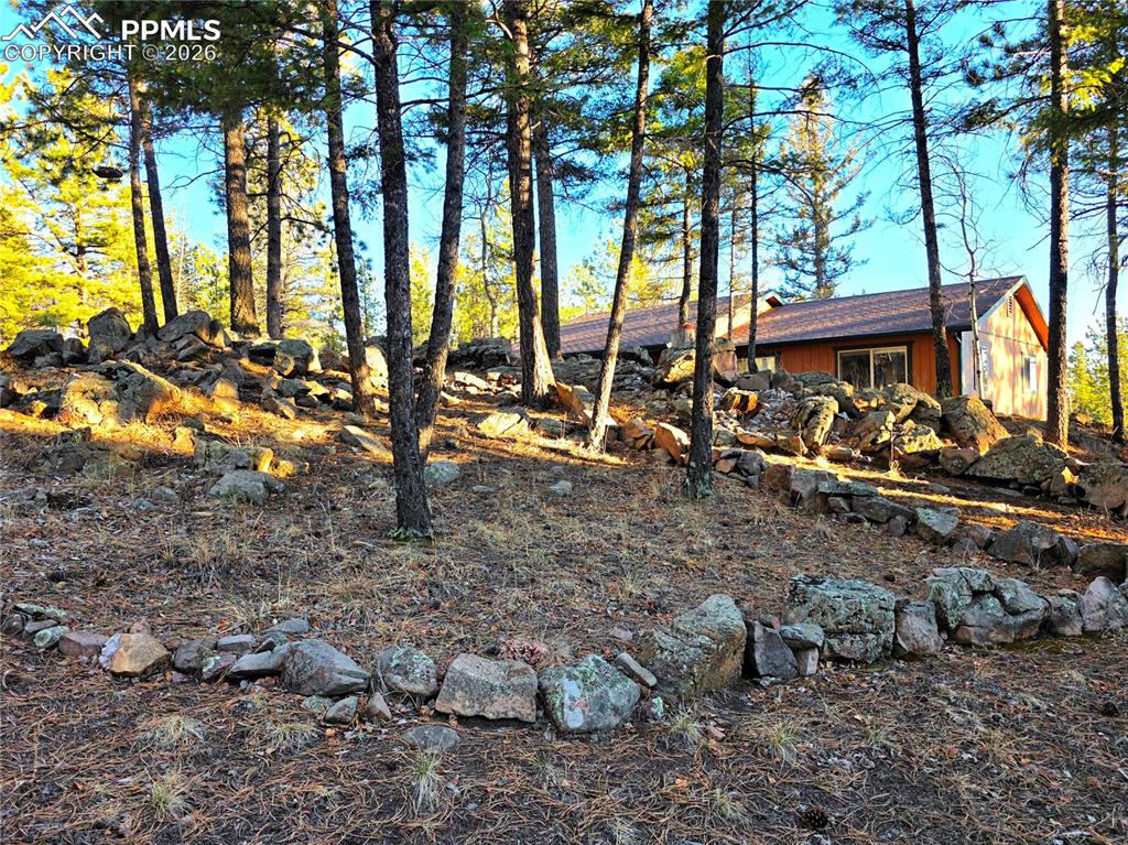 2063 Vagabond Creek Drive Lake George CO 80827