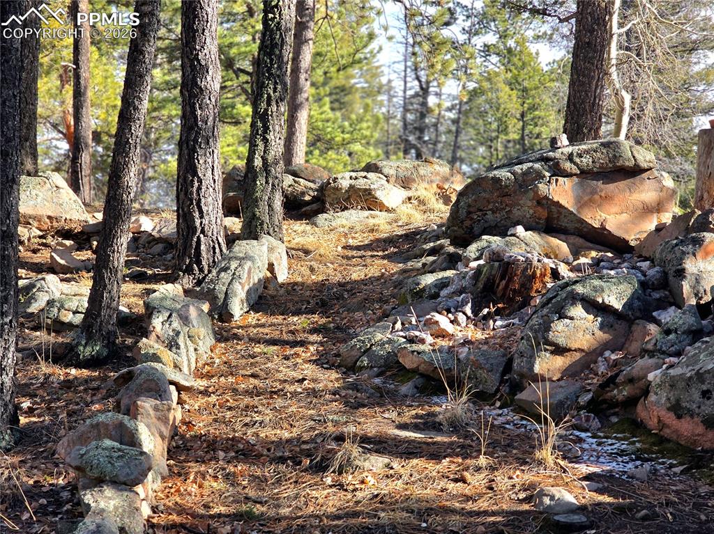 2063 Vagabond Creek Drive Lake George CO 80827
