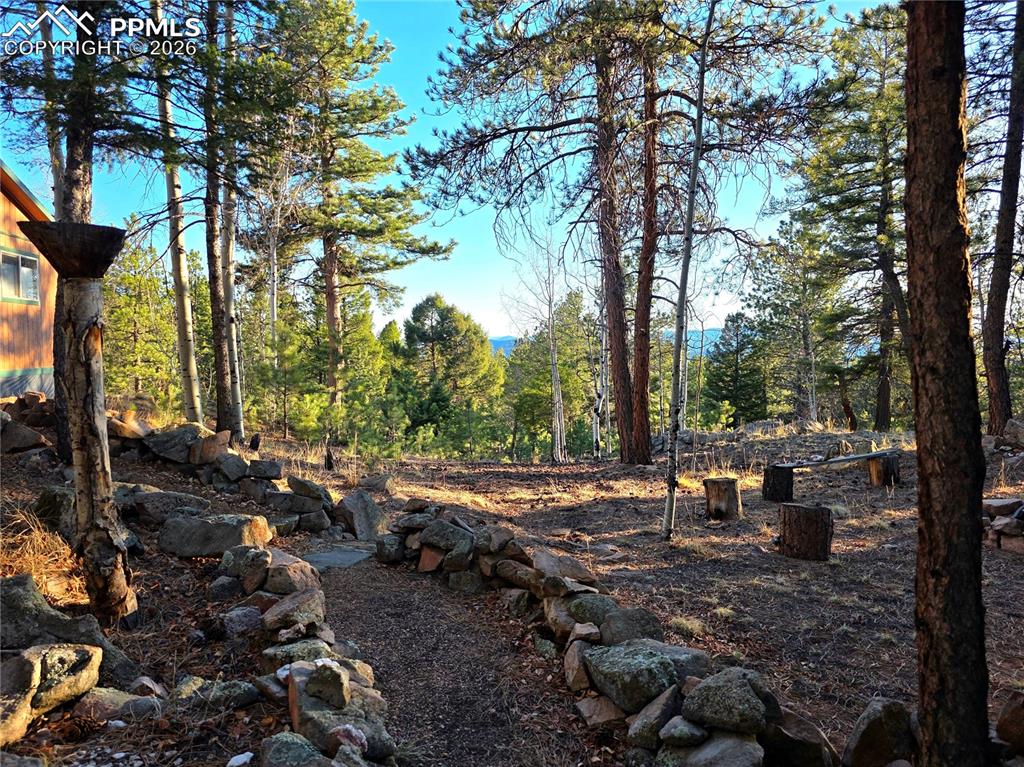 2063 Vagabond Creek Drive Lake George CO 80827