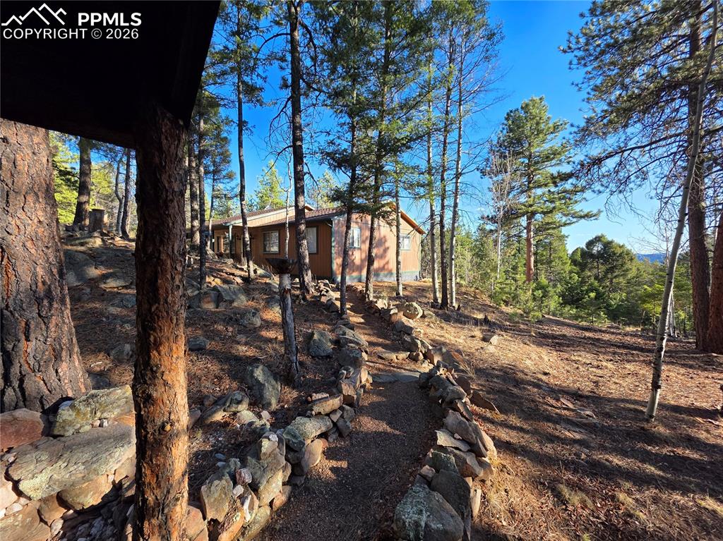 2063 Vagabond Creek Drive Lake George CO 80827