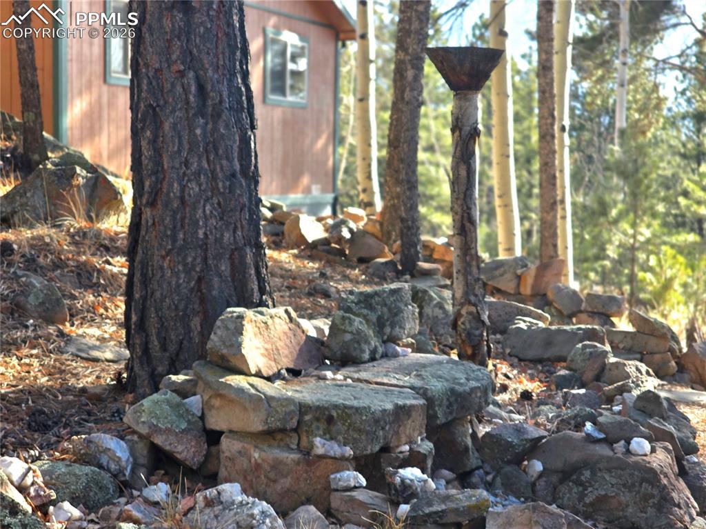 2063 Vagabond Creek Drive Lake George CO 80827
