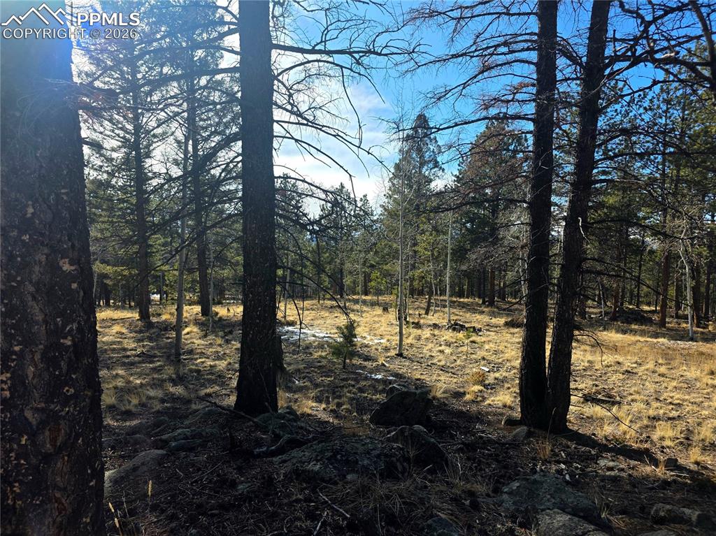 2063 Vagabond Creek Drive Lake George CO 80827