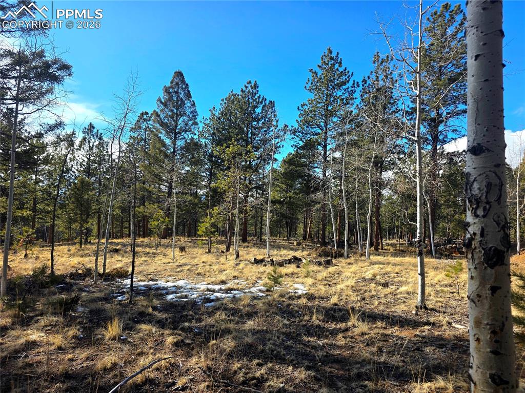 2063 Vagabond Creek Drive Lake George CO 80827