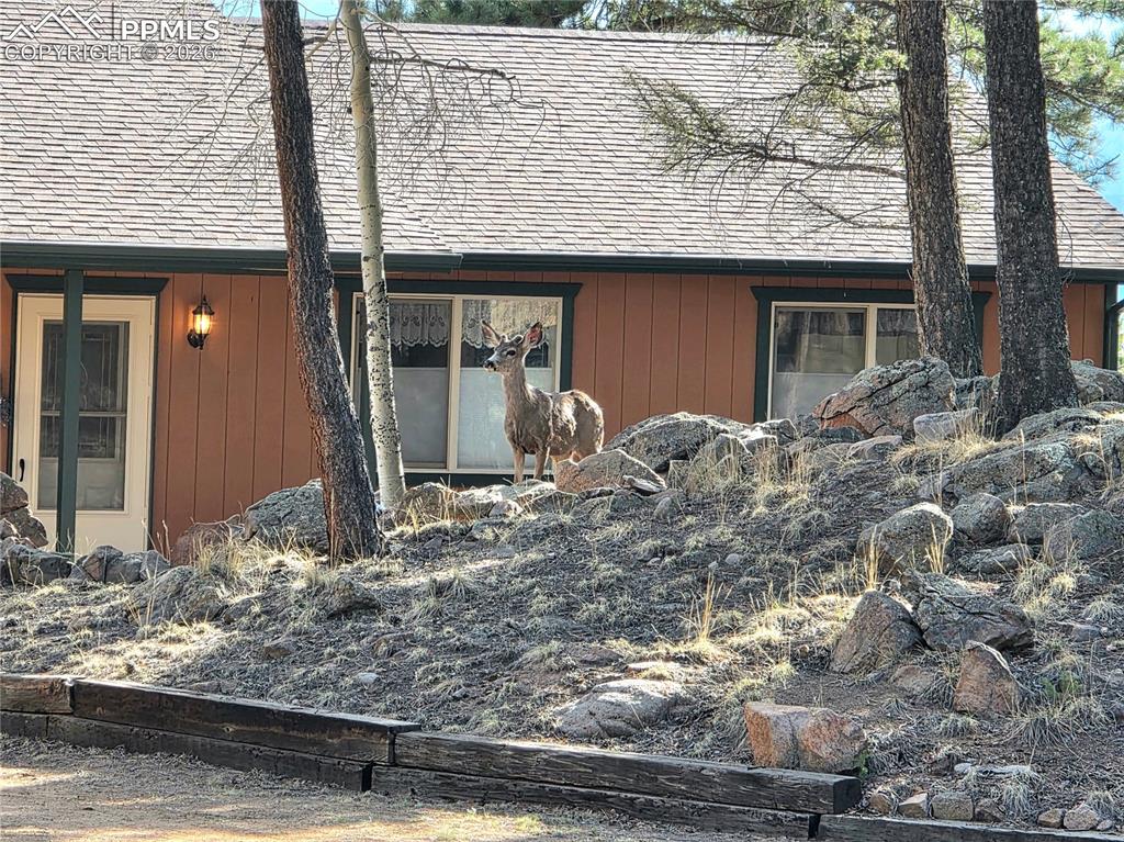 2063 Vagabond Creek Drive Lake George CO 80827