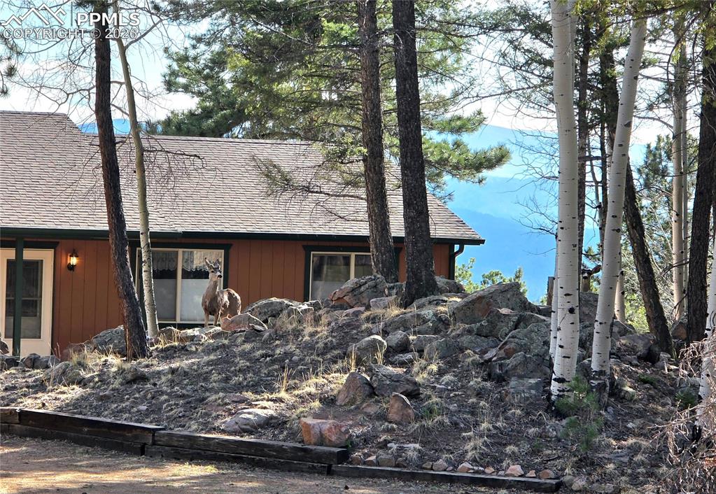 2063 Vagabond Creek Drive Lake George CO 80827