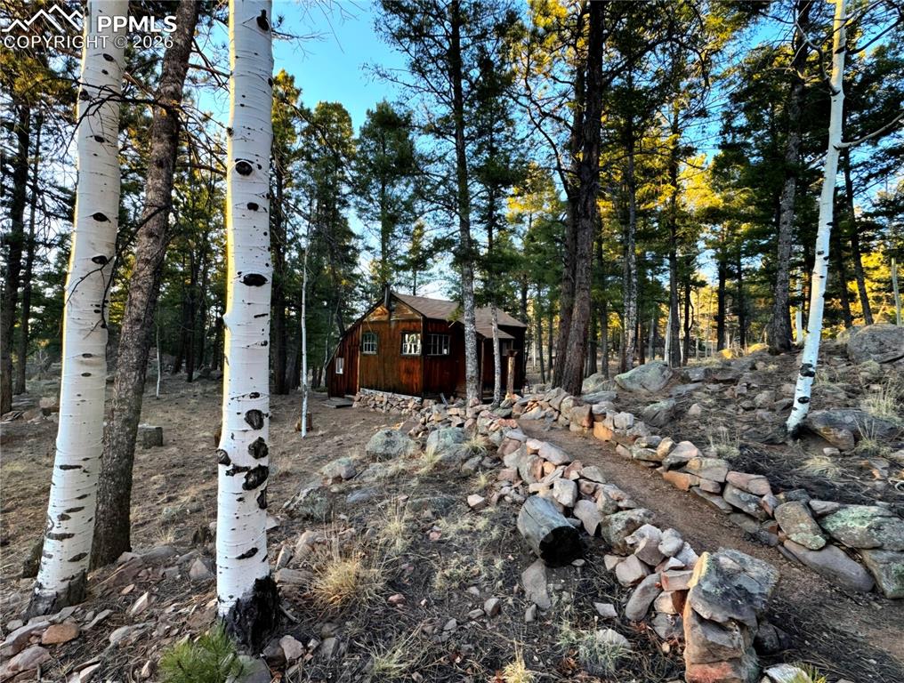 2063 Vagabond Creek Drive Lake George CO 80827