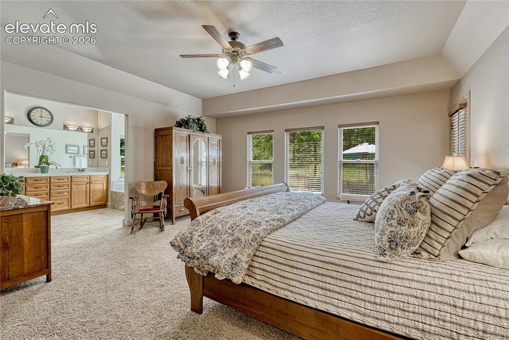 1103 Greenland Forest Drive Monument CO 80132