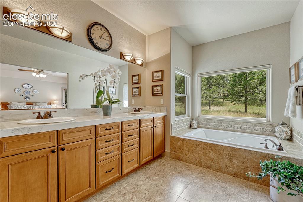 1103 Greenland Forest Drive Monument CO 80132