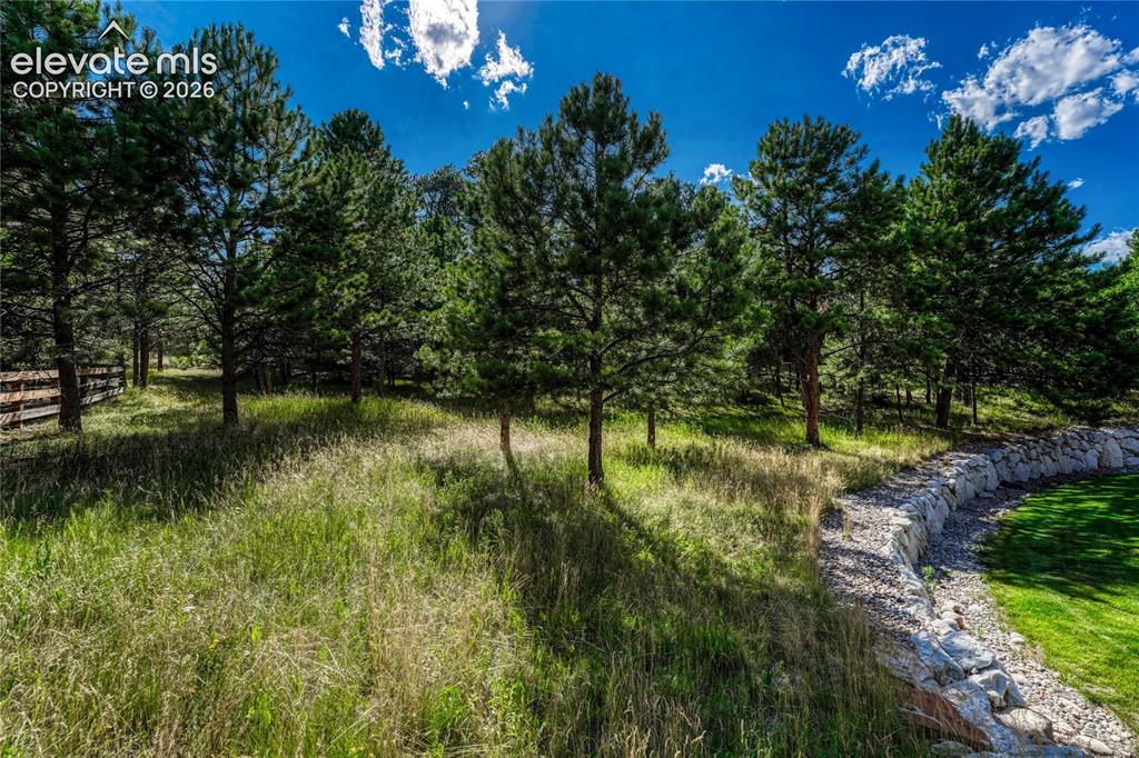 1103 Greenland Forest Drive Monument CO 80132