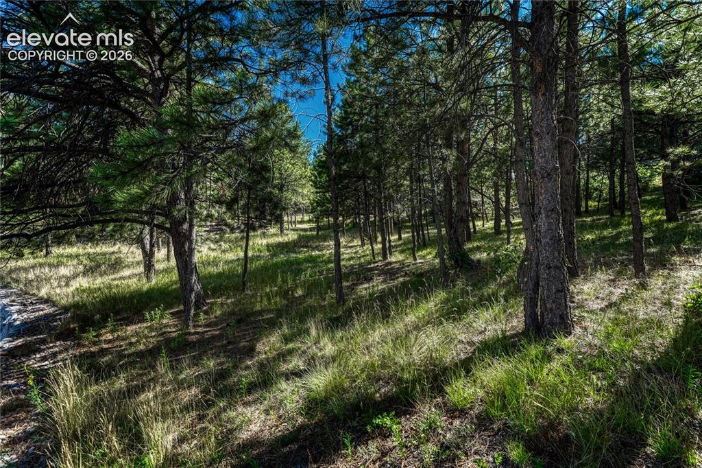 1103 Greenland Forest Drive Monument CO 80132