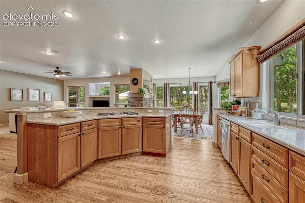 1103 Greenland Forest Drive Monument CO 80132