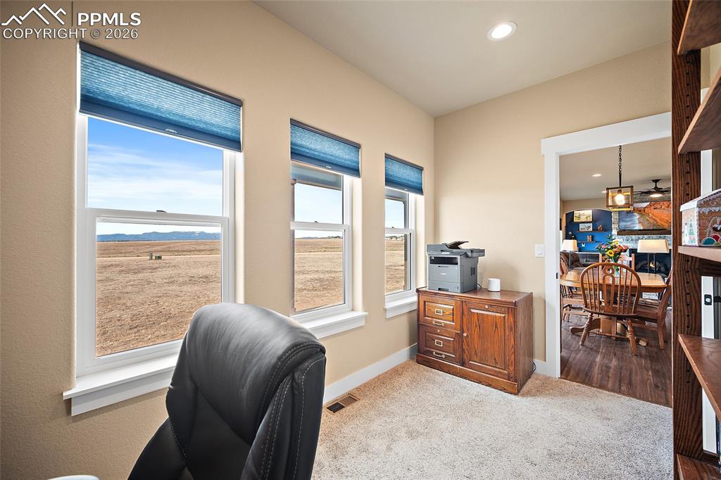 3445 Antelope Hill View Peyton CO 80831