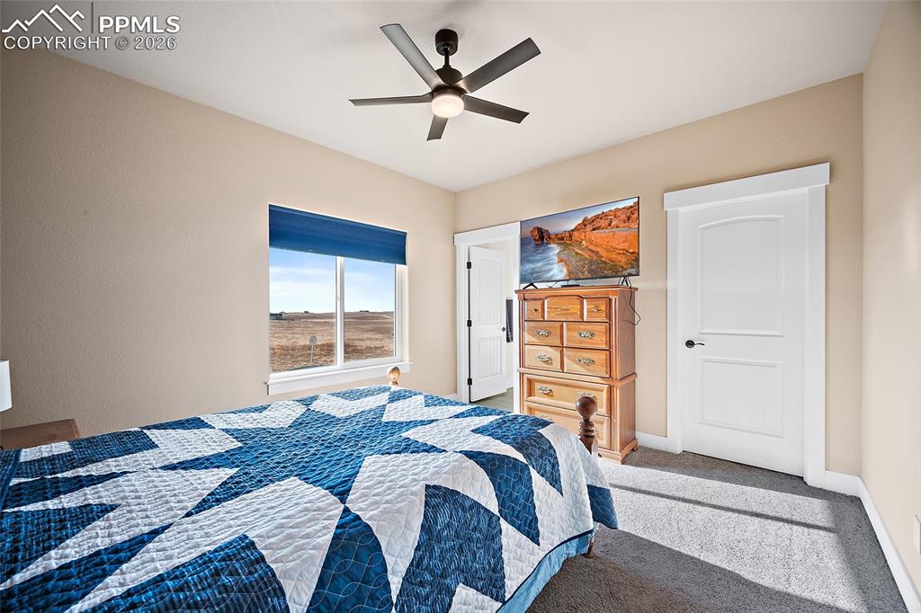 3445 Antelope Hill View Peyton CO 80831