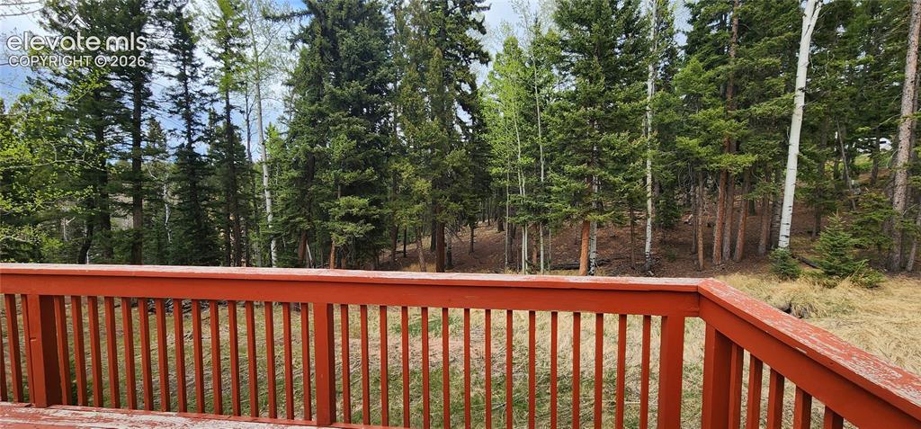 419 Donzi Trail Florissant CO 80816