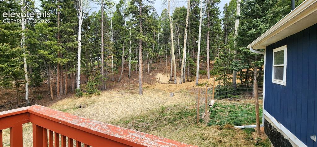 419 Donzi Trail Florissant CO 80816