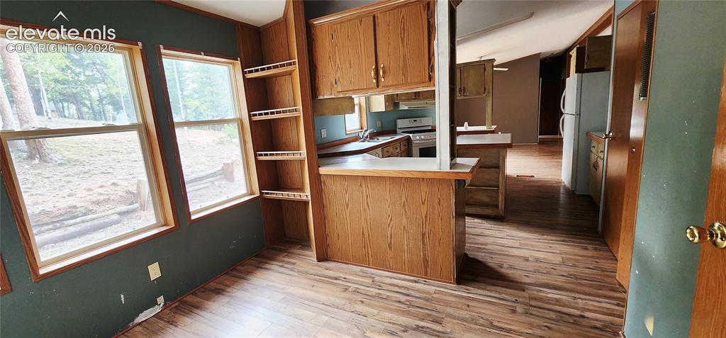 419 Donzi Trail Florissant CO 80816