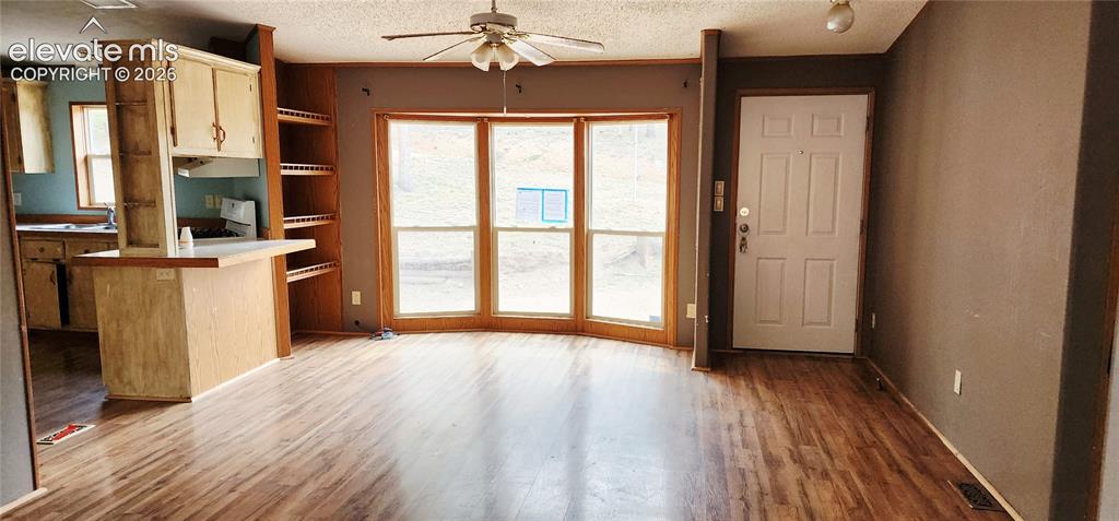 419 Donzi Trail Florissant CO 80816