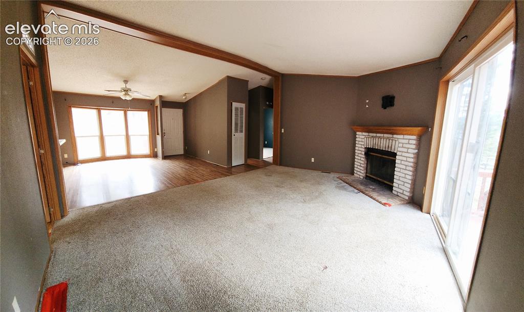 419 Donzi Trail Florissant CO 80816