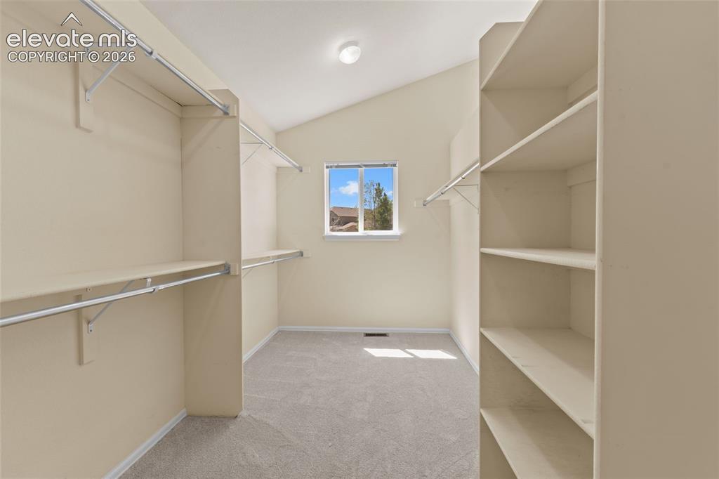 4503 Clark Fork Place Colorado Springs CO 80923