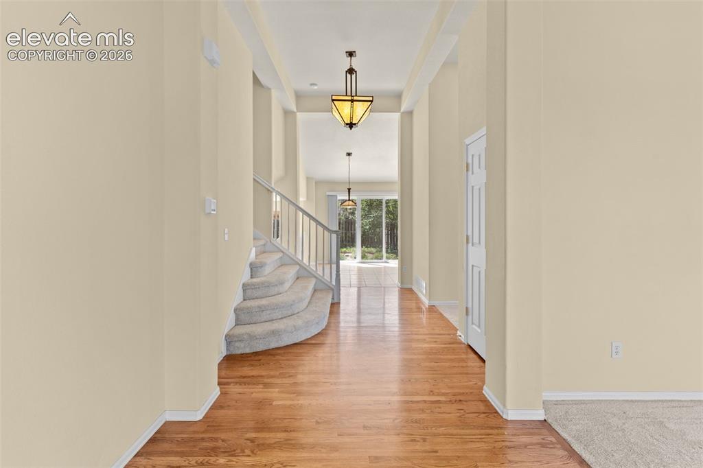 4503 Clark Fork Place Colorado Springs CO 80923