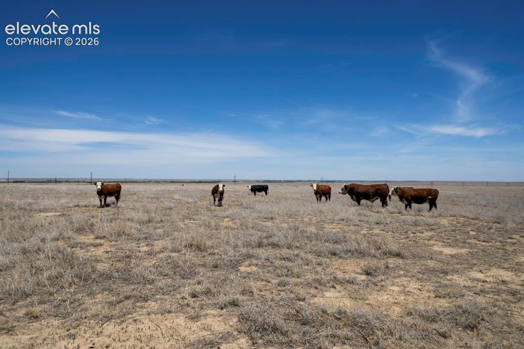 33973 County Road Aa La Junta CO 81050