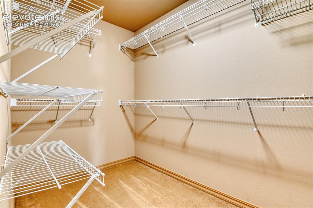 4233 Ashby Field Drive Colorado Springs CO 80922