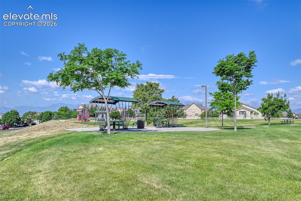 4233 Ashby Field Drive Colorado Springs CO 80922