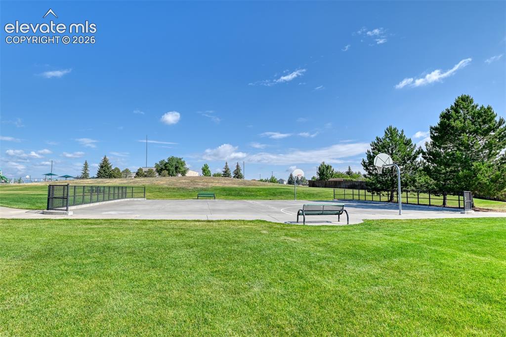 4233 Ashby Field Drive Colorado Springs CO 80922